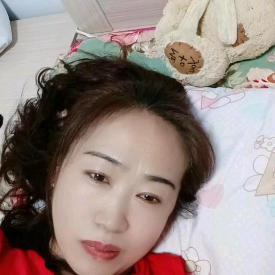 鸿鹰🦅