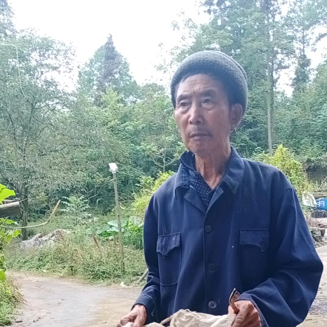 那是人非