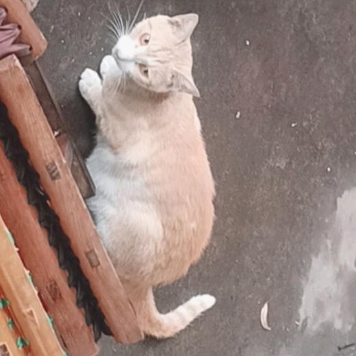 🐲🐲🐲叨叨叨🐲🐲🐲