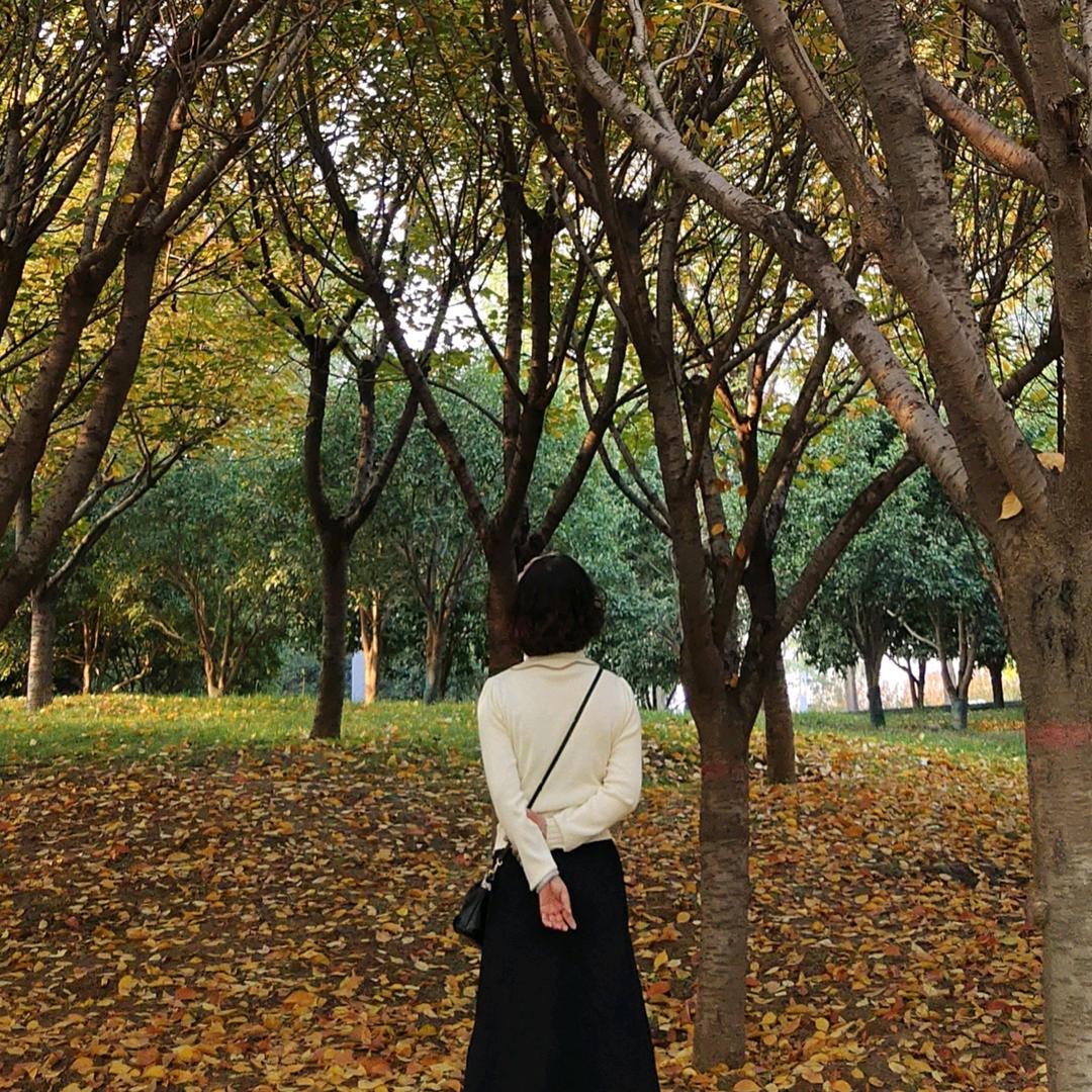 林子
