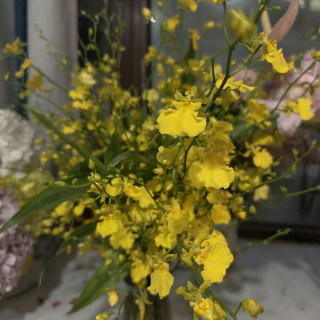 中年妇女你的阿姐