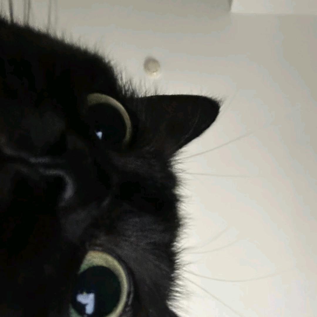 我听听怎么个ser