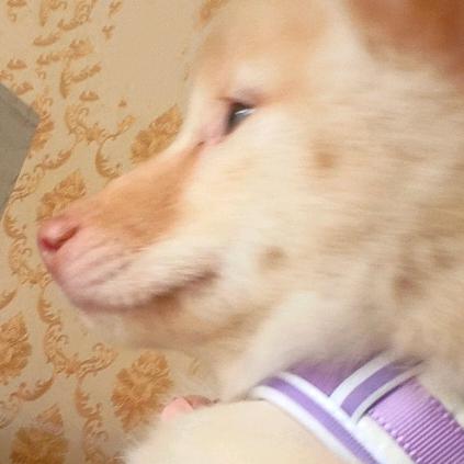 百万的成长日记