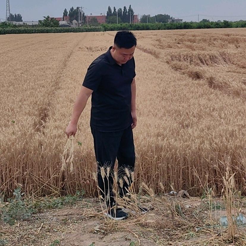 村支书@任永国