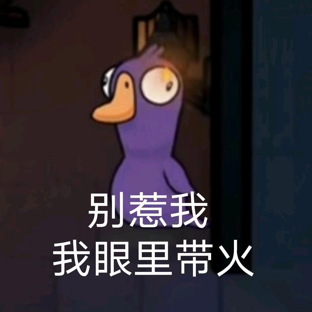 今天不熬夜😪
