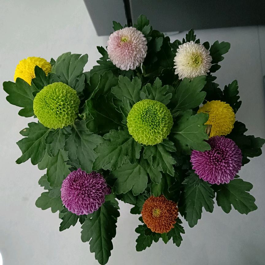 思忆
