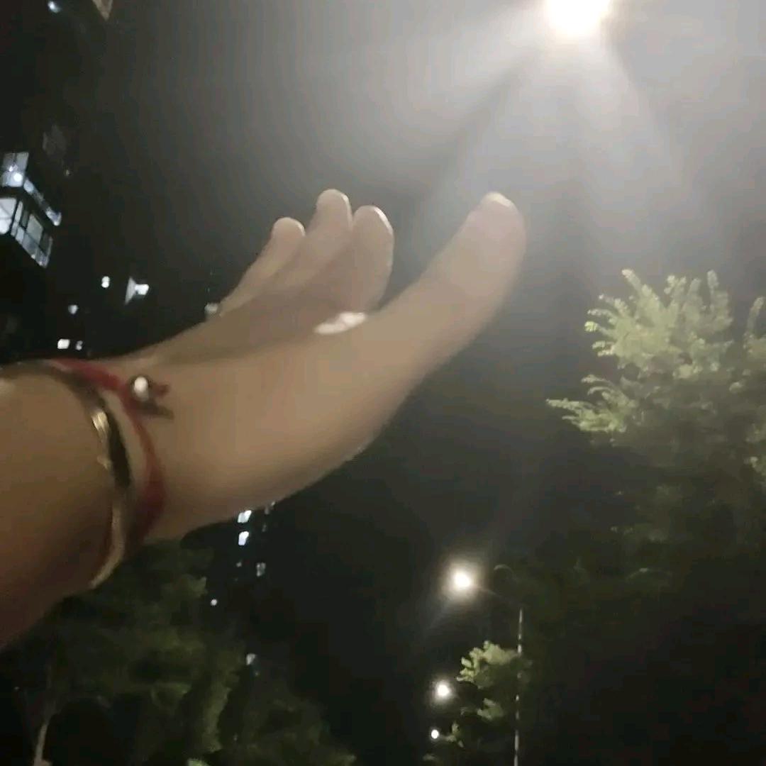 王涛🍭