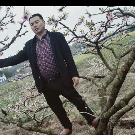 黄....三......少（双龙坐）