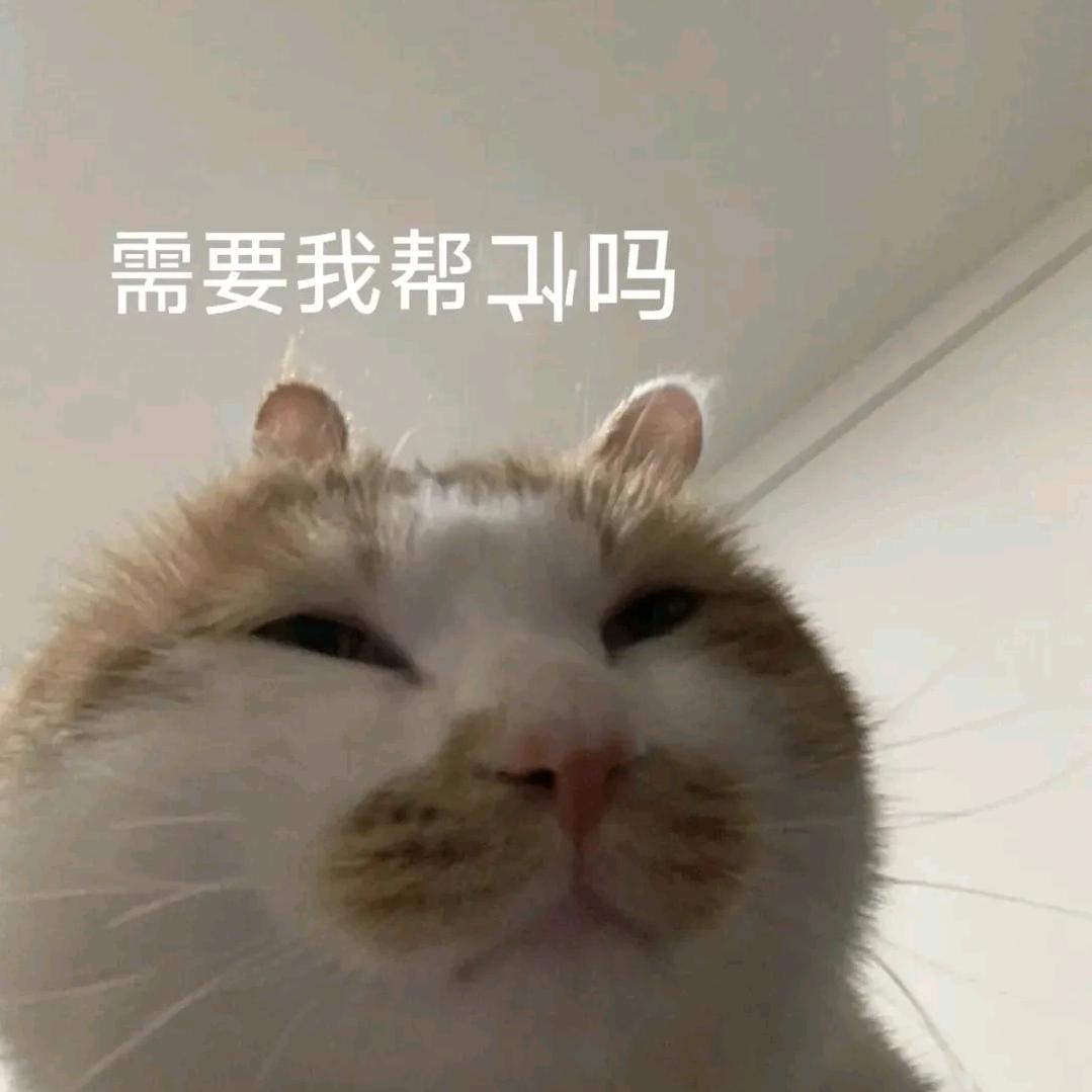 人生漫漫你急个蛋