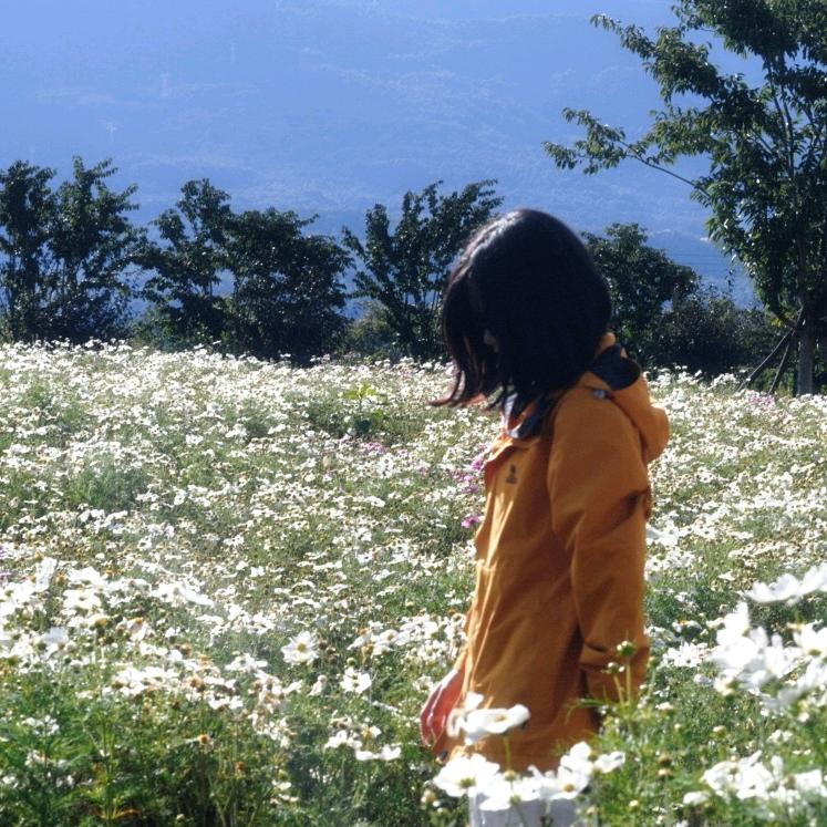 芒果加冰🥭