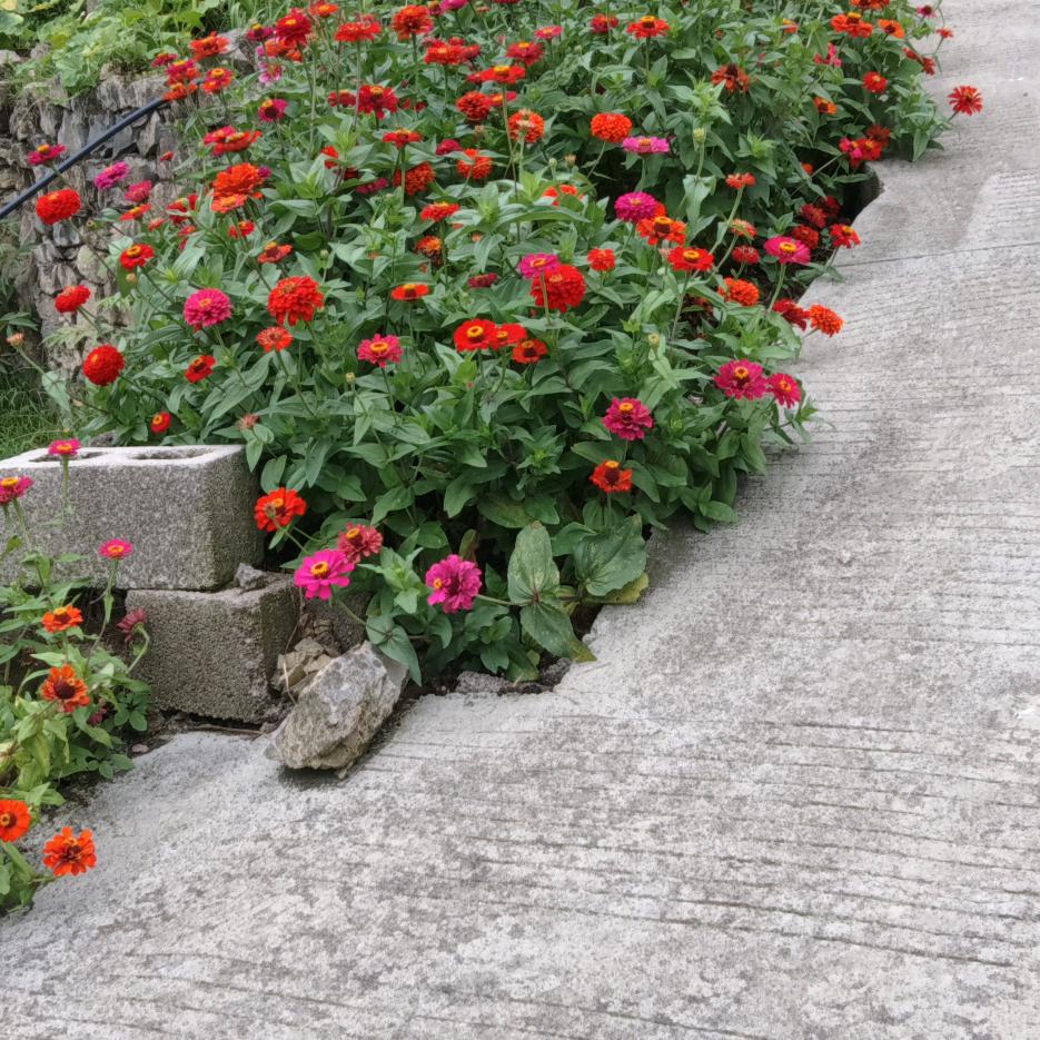 再苦再累无人体会