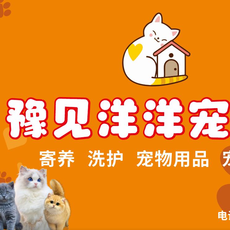 东莞市豫见洋洋宠物