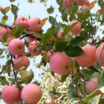 *坚果源头工厂店