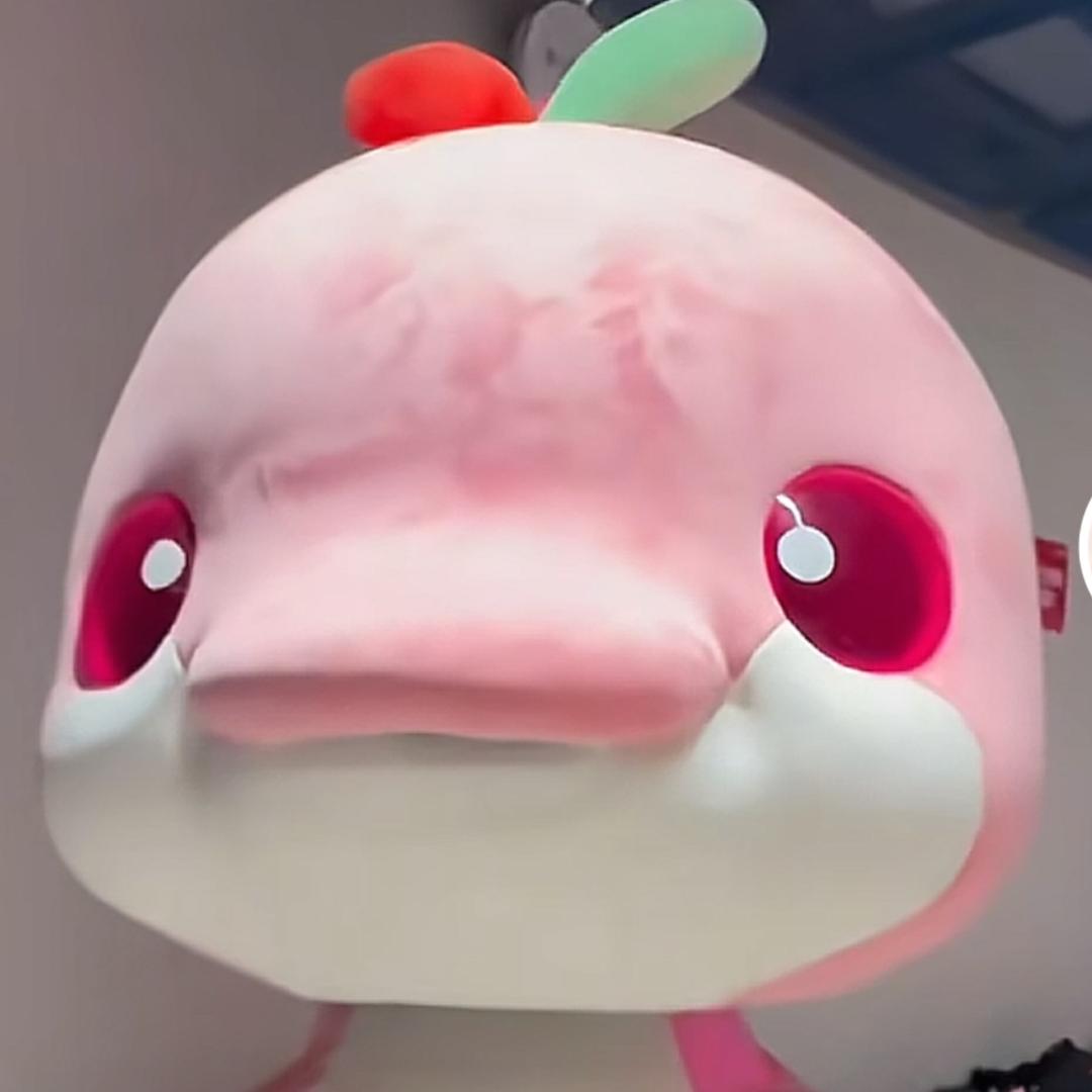 òᆺó🍒