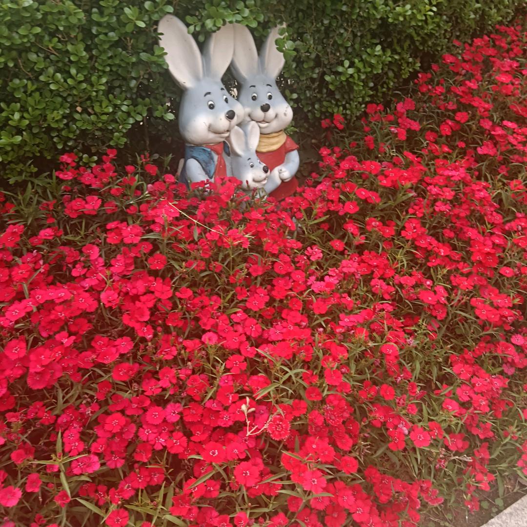 陶梓墨奶奶(查姐)