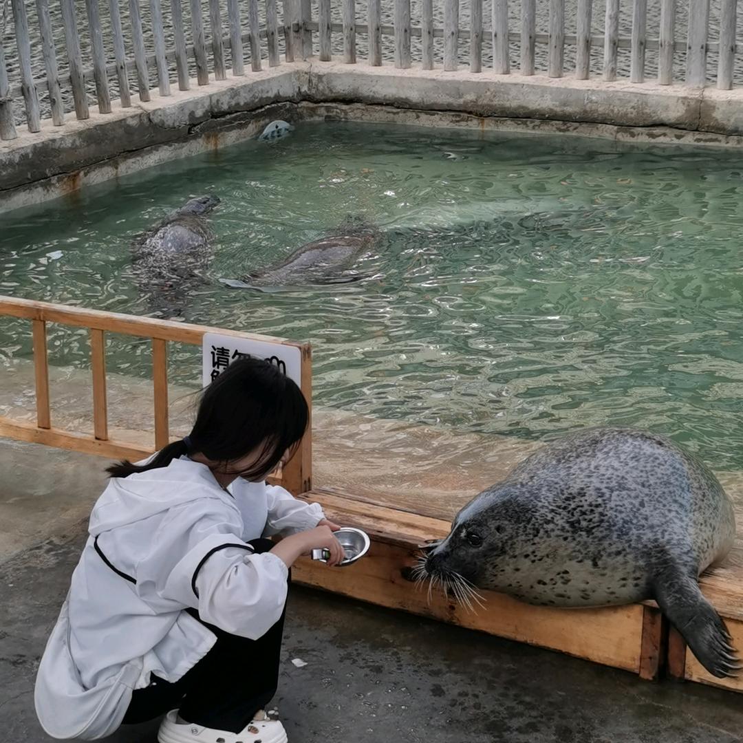 小月亮