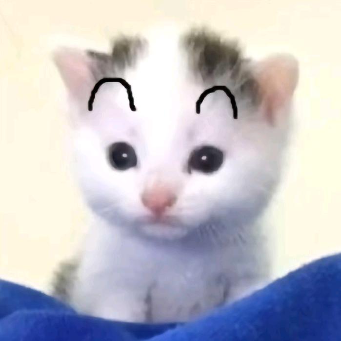 筱七