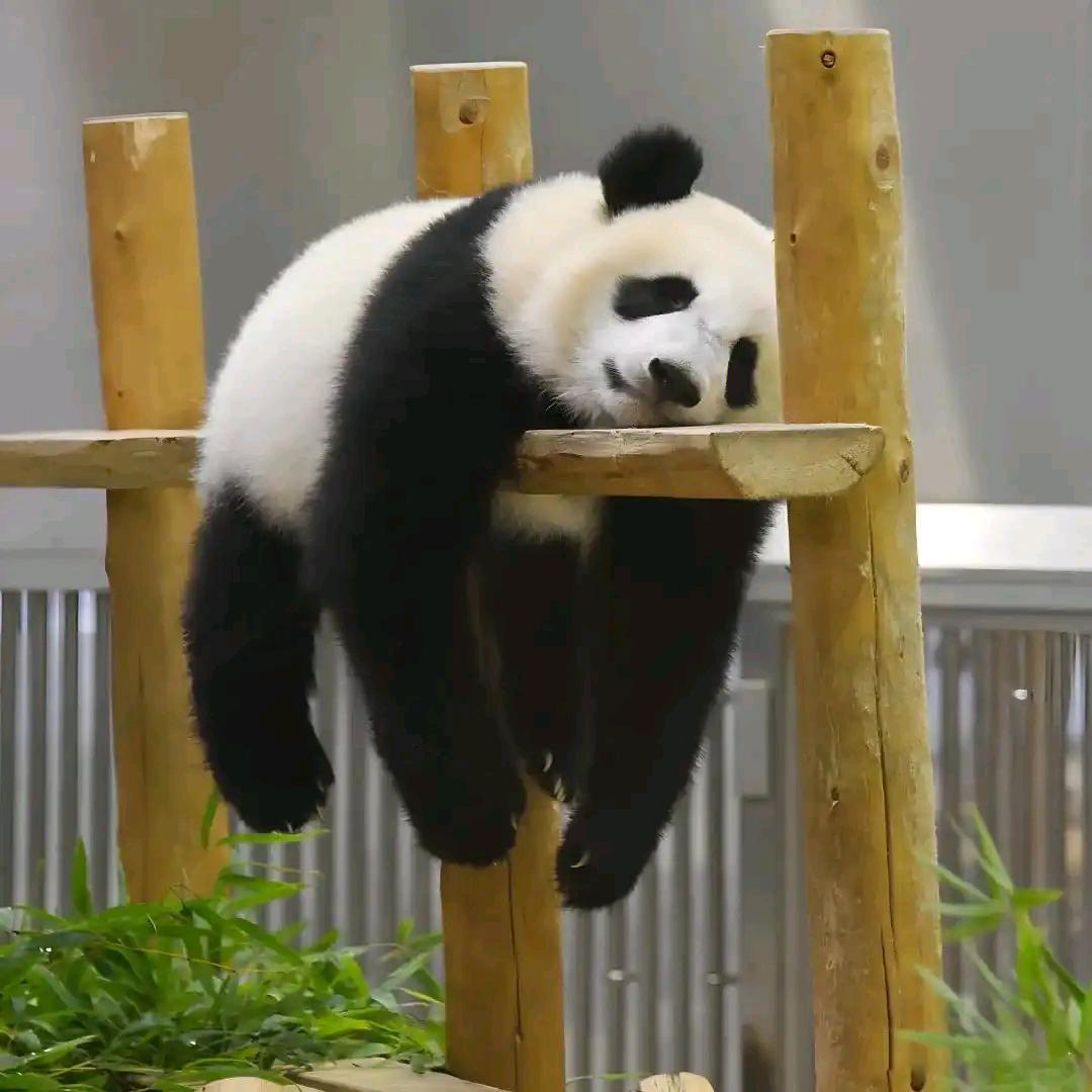 喜欢