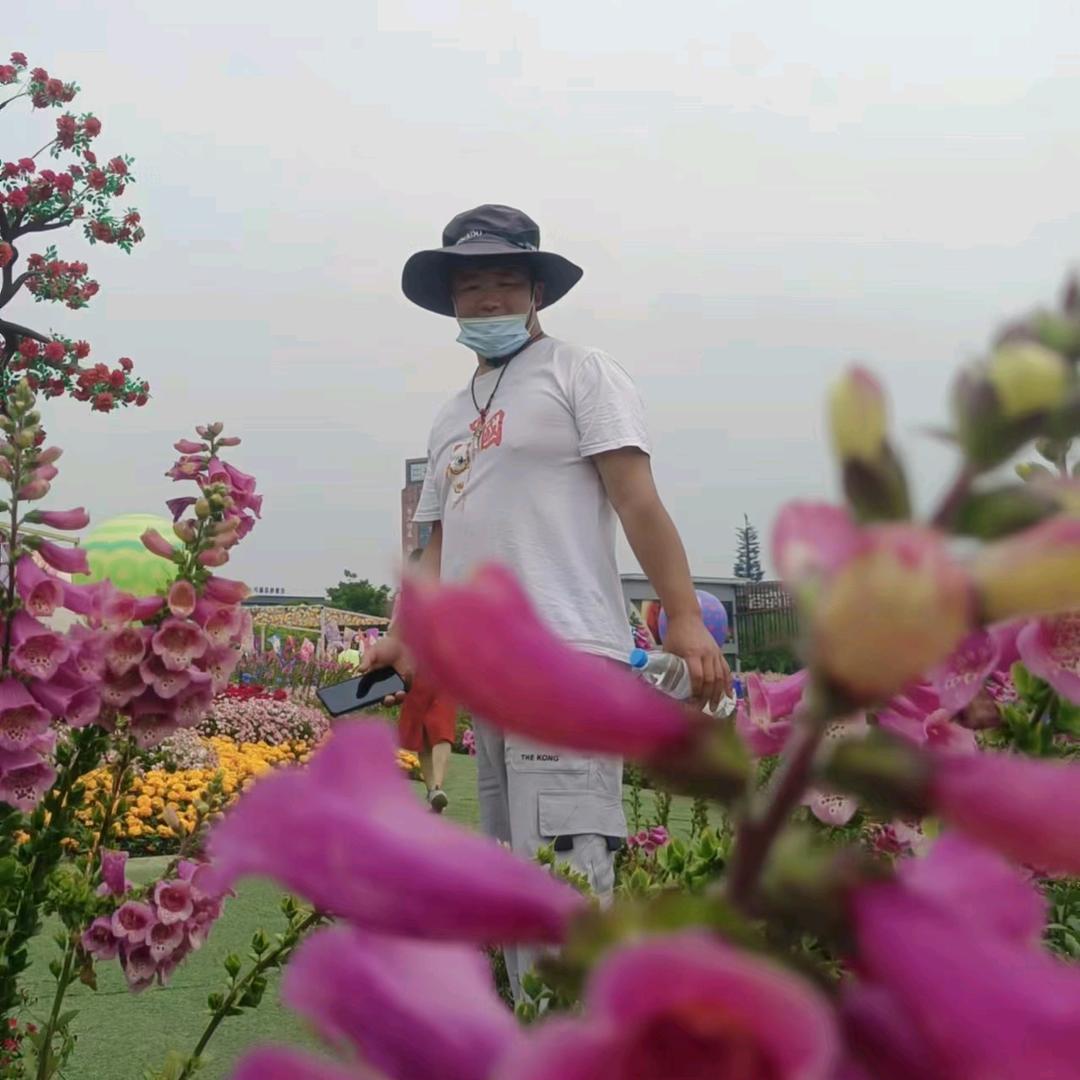 @风逝遗梦回不到从前