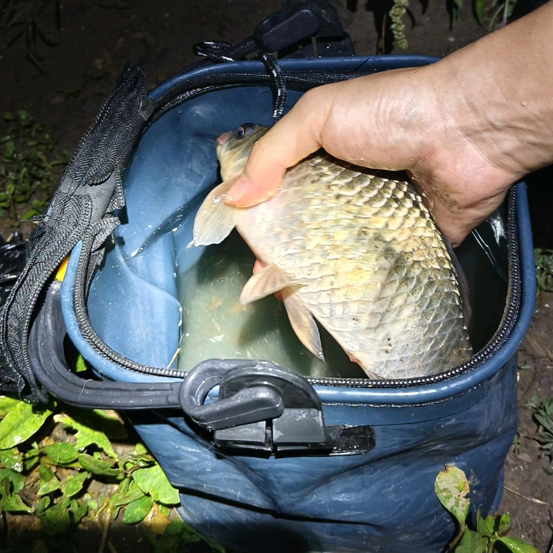 尼古拉斯·铁锤