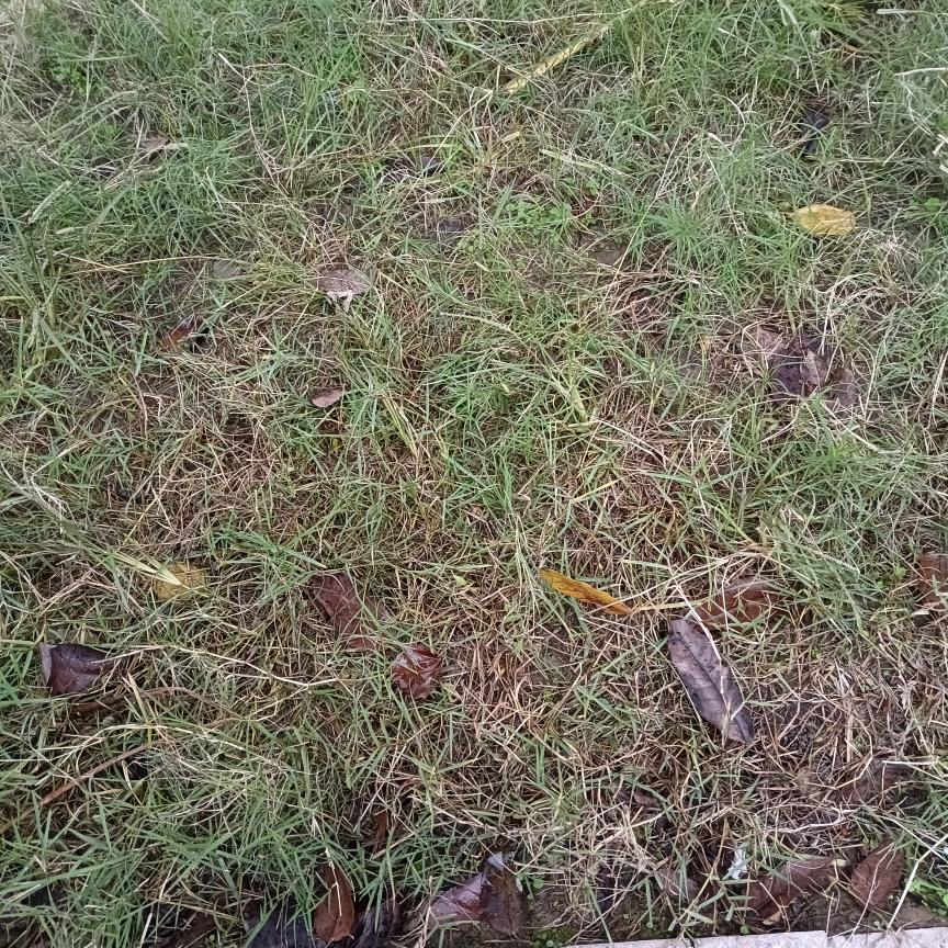 封心锁爱（让往事随风）