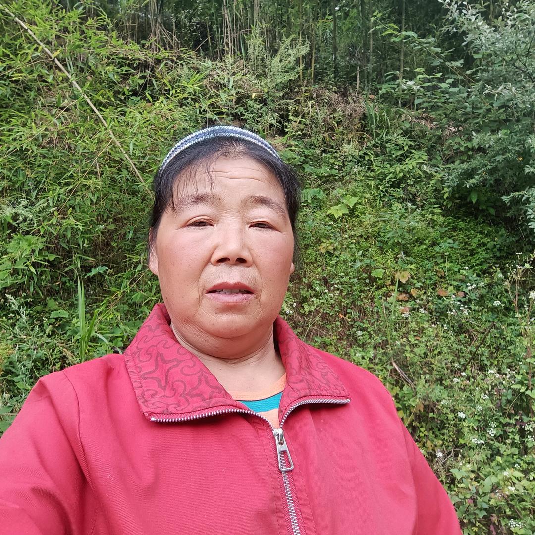 （曾姐）下午14·20开播
