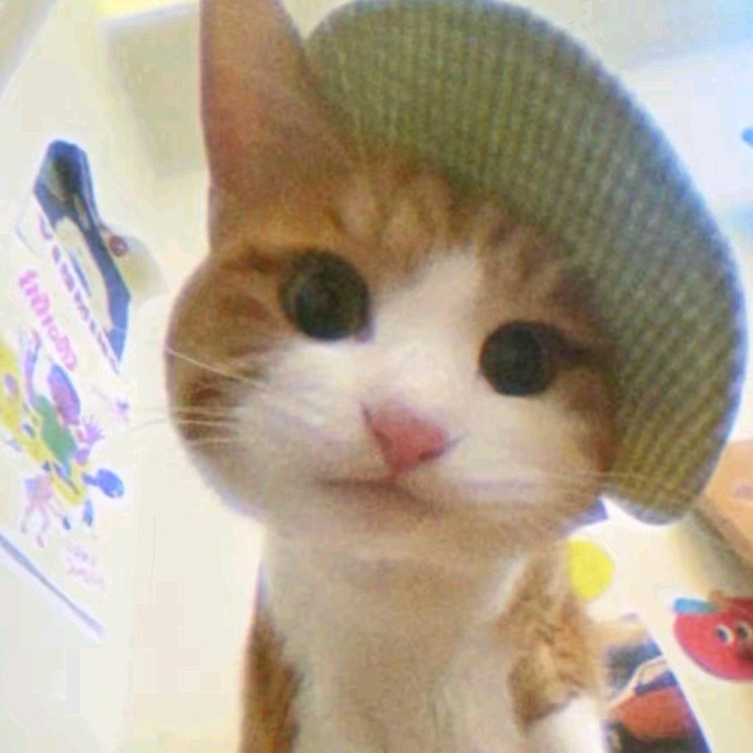Max_ '.ㅅ '