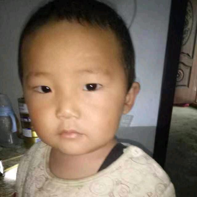 人生如梦，梦如人生