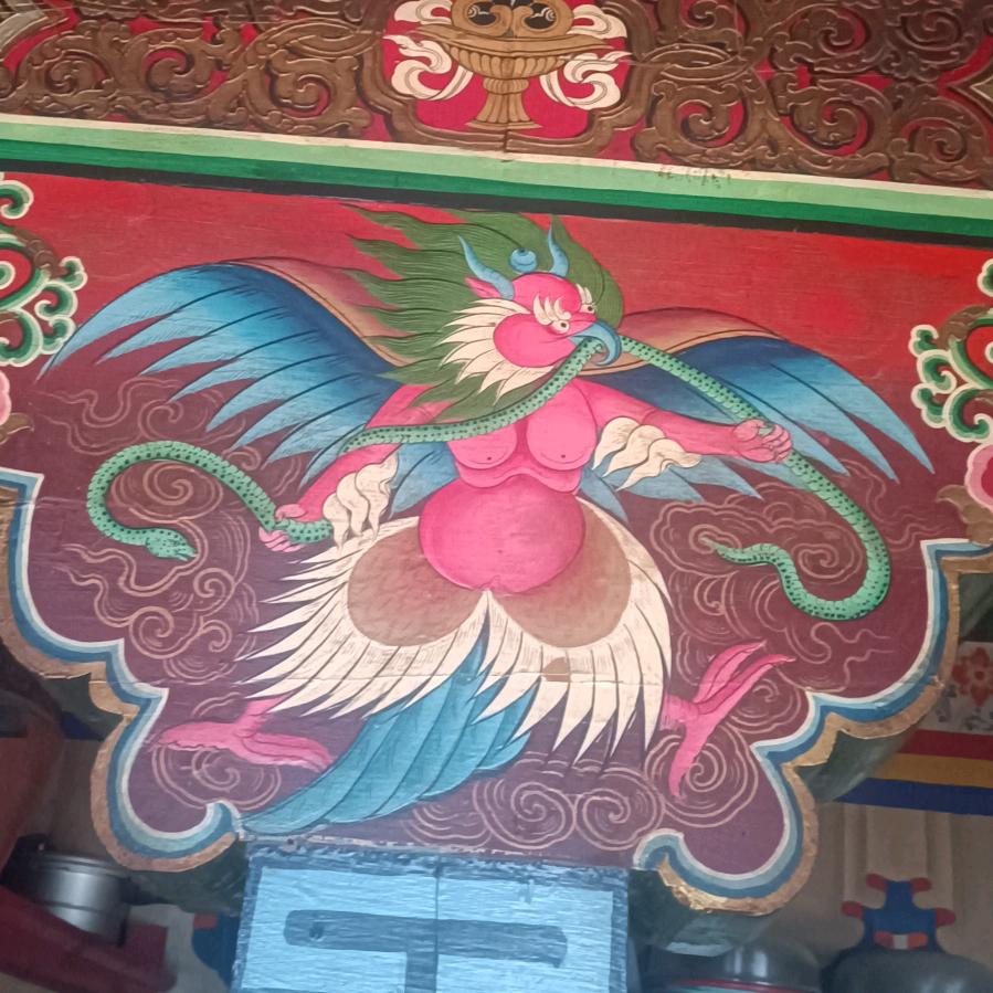 玩抖音