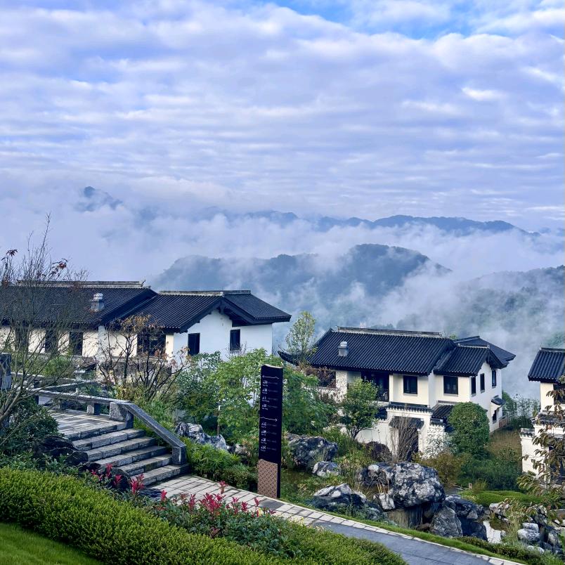 八仙山茶文化研学基地婵娟