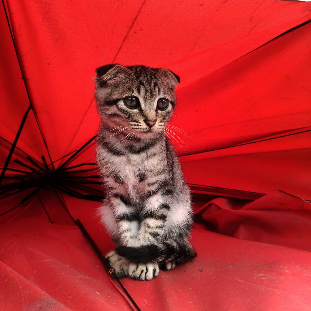 ༗邪性€洒脱᭄