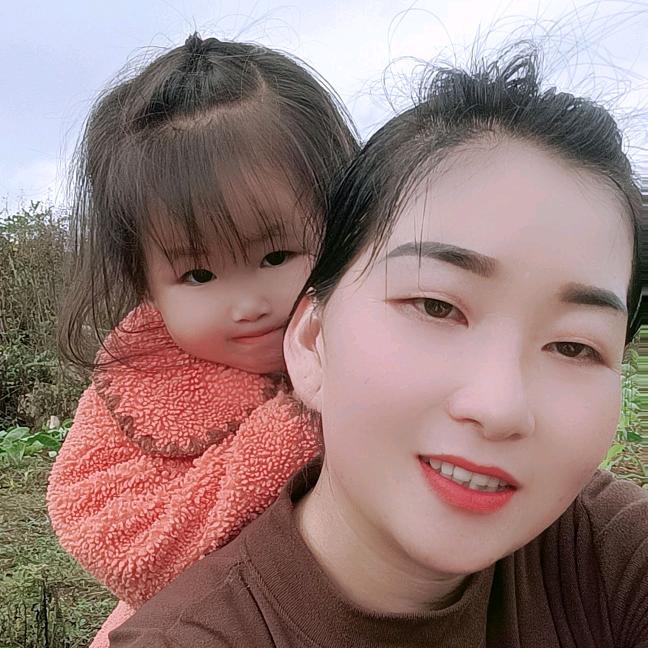 云南赵家红玫瑰