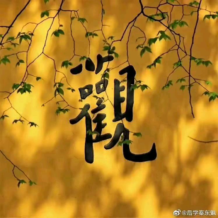 妙善缘