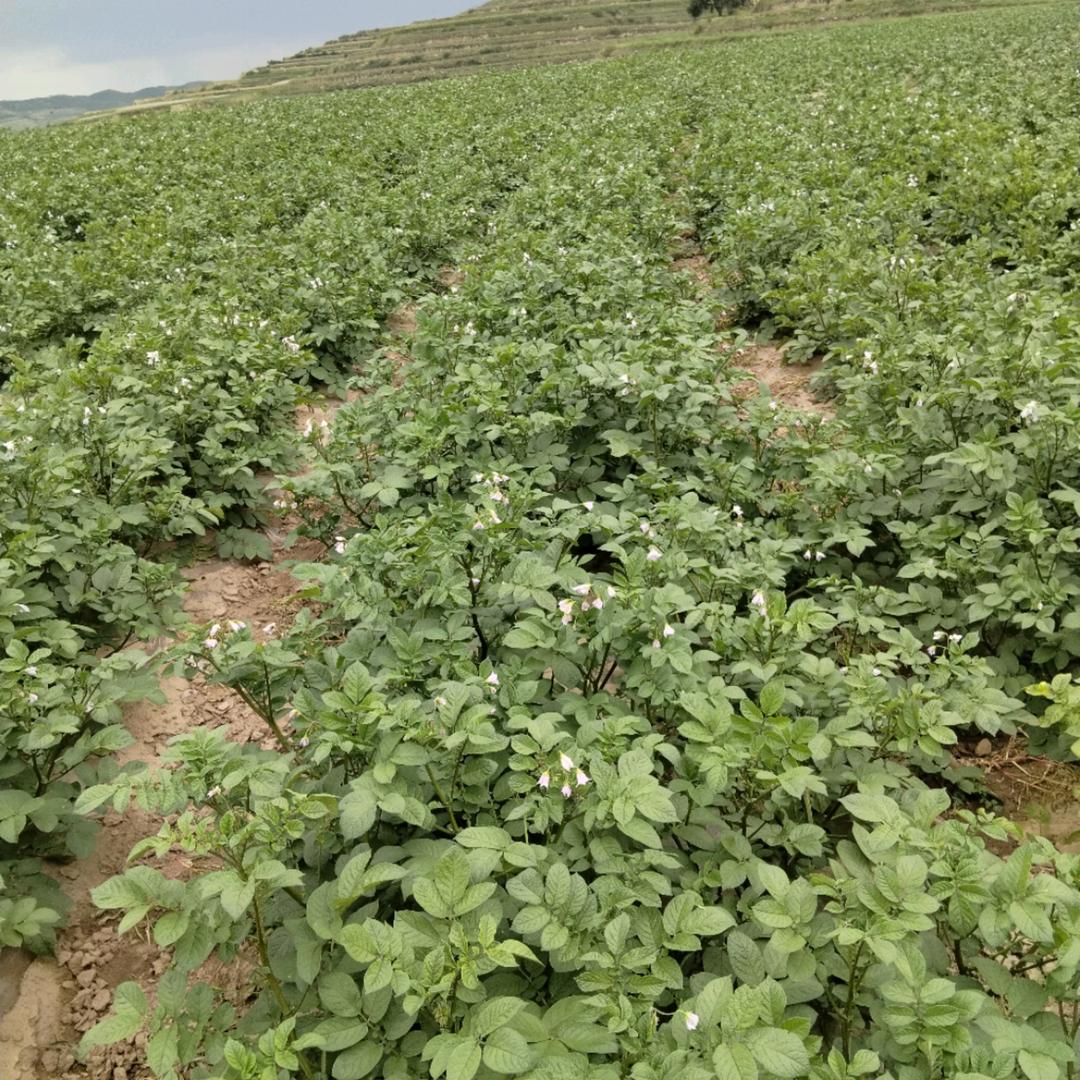 人生的路！何时是头