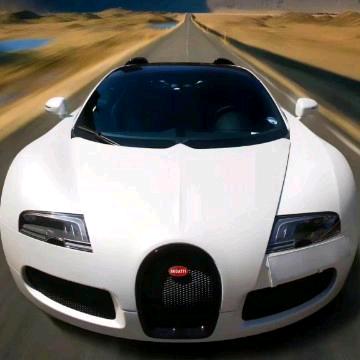 独醉(✧∇✧)笑清风