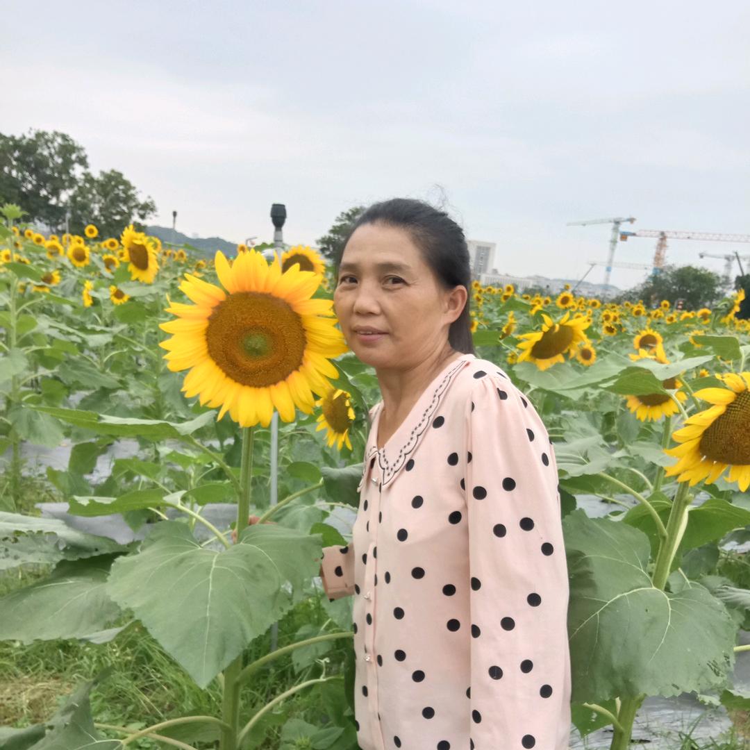 爱唱歌的赵四妹