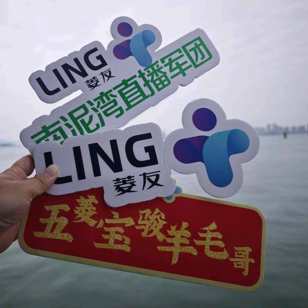五菱宝骏羊毛哥
