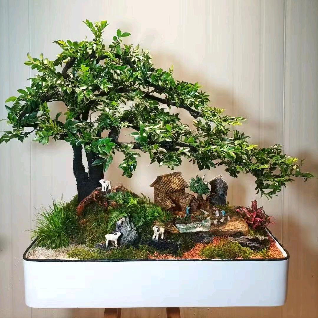 花仙子