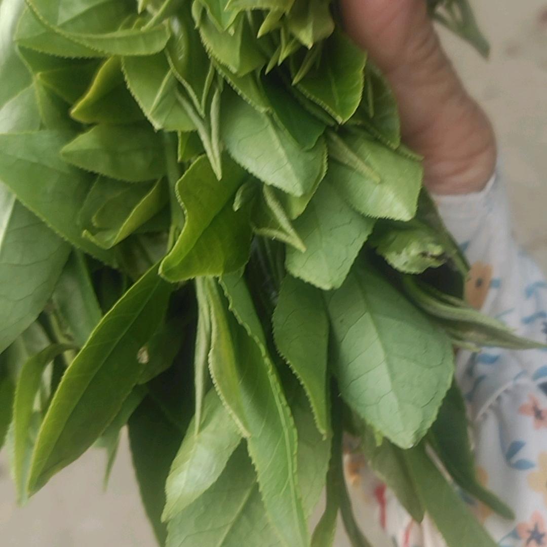 饭加美