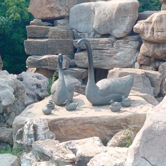 樱桃小嘴蛤蟆腿