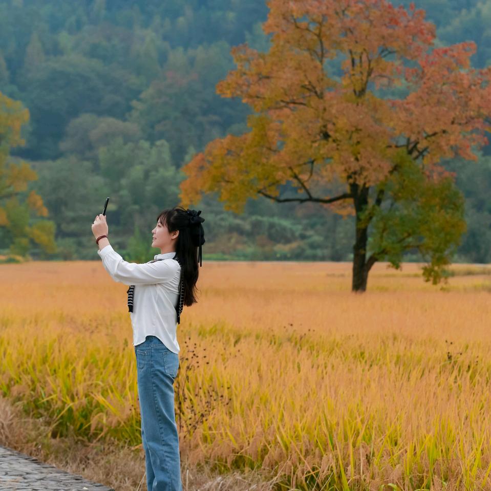 小小鱼儿
