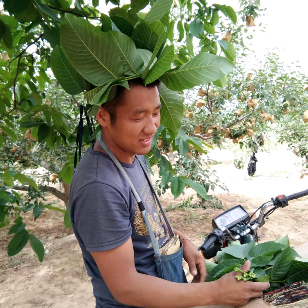 村头人家（王老大）