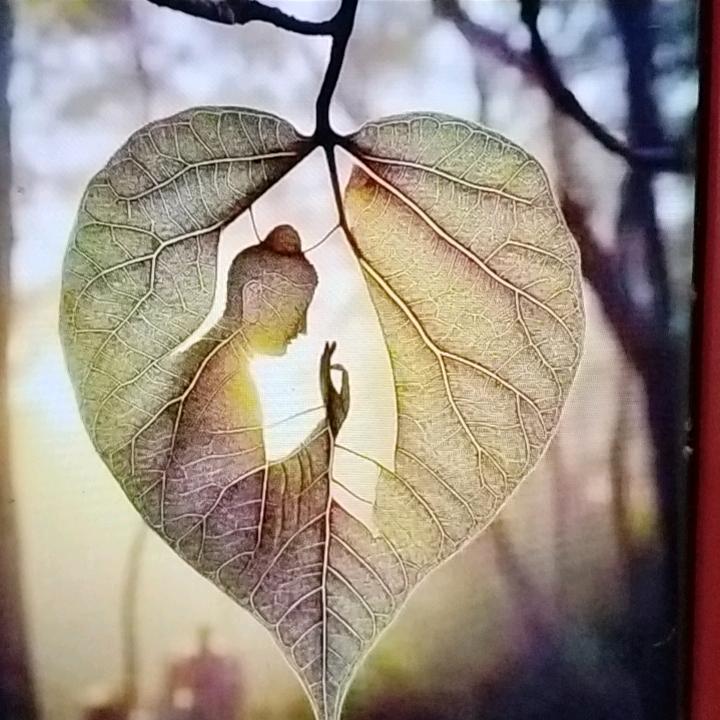 大坞佛缘阁！裴姐！🫰