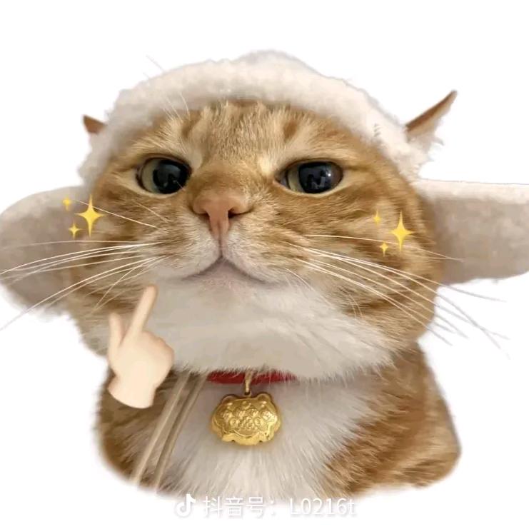 奥特mua Ⱄⱄ