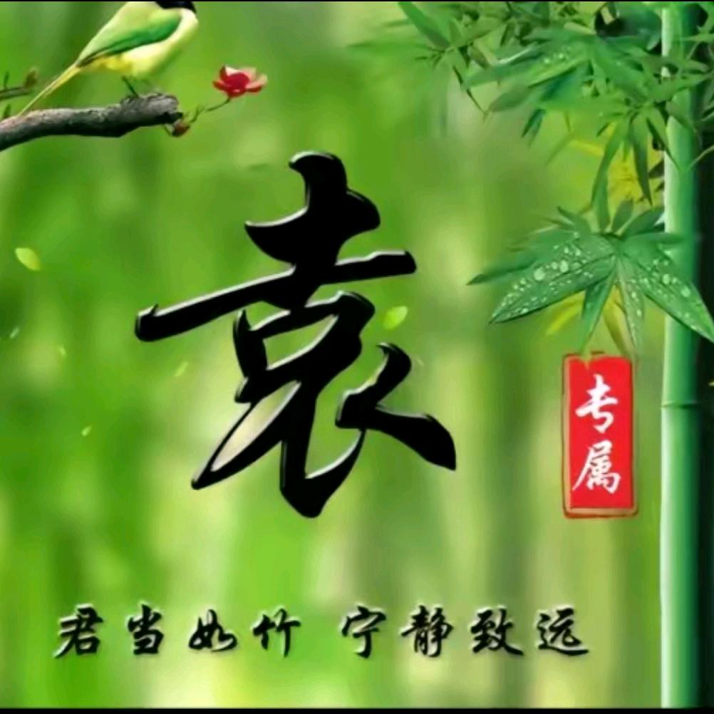开着拖拉机去逛街