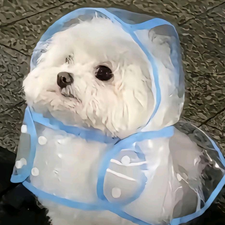 啾啾七