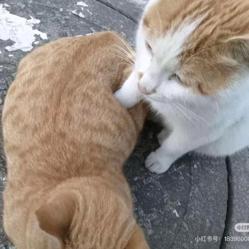 三三