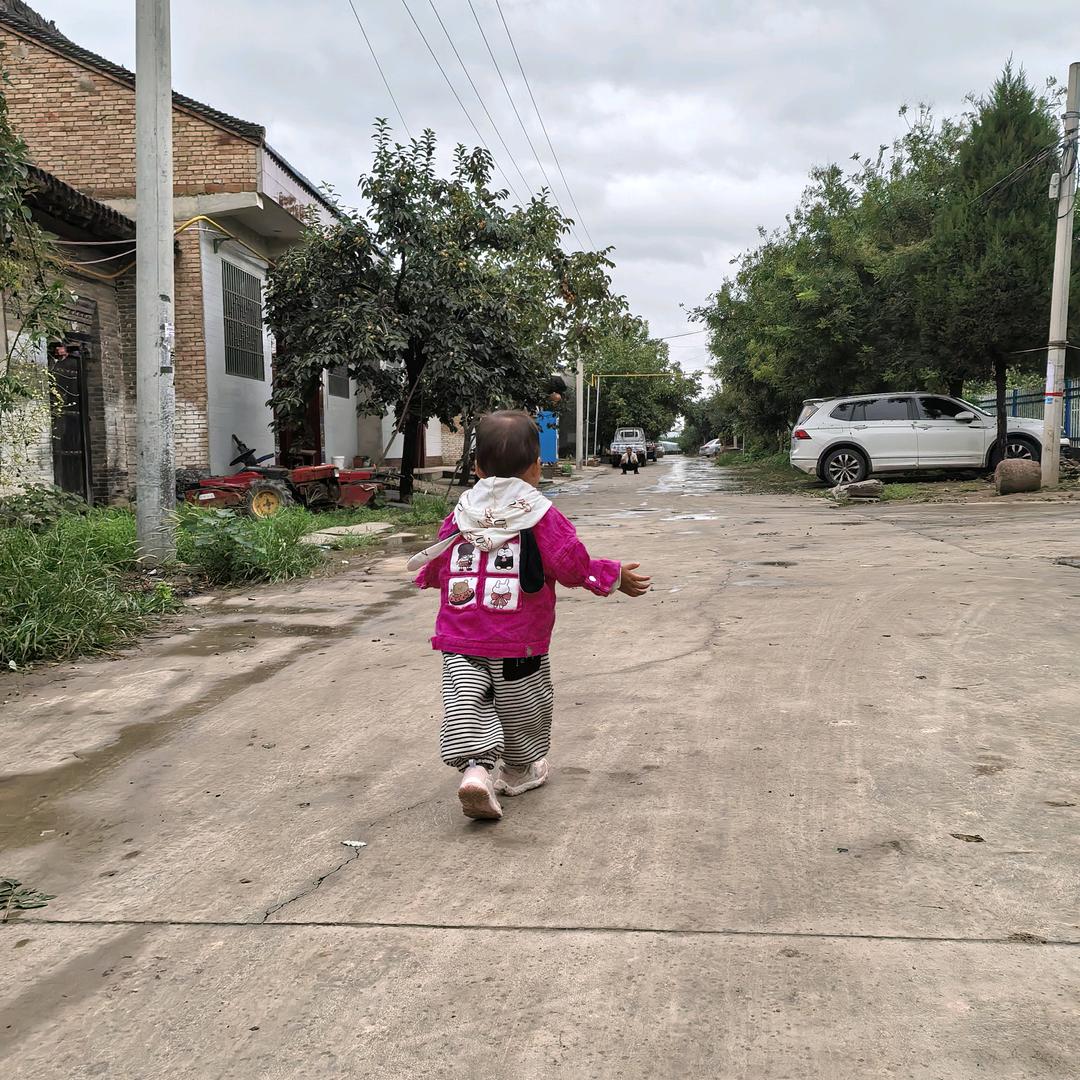 安然无恙 🌴🍀