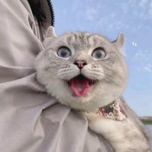 哈哈哈哈哈哈哈哈哈哈哈哈哈哈哈哈哈哈哈哈