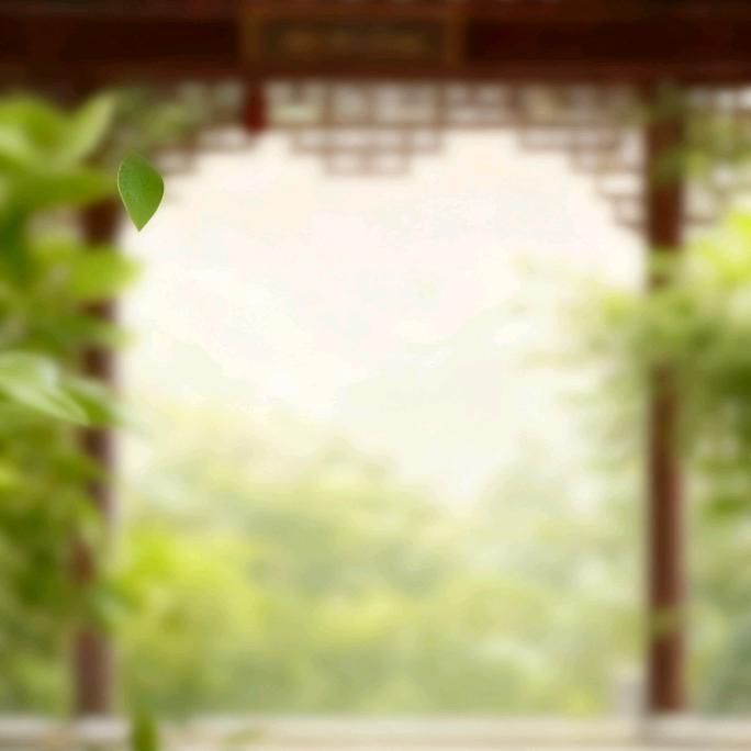 喝点养生茶